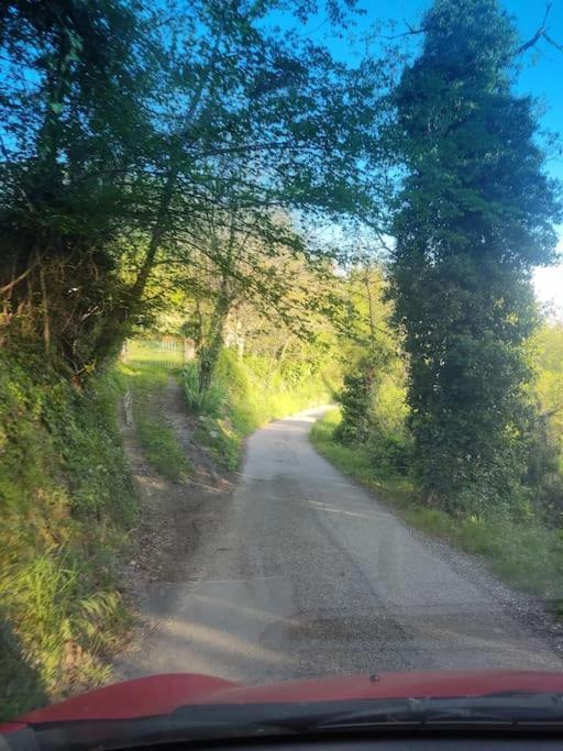 Casa Vacanza Mattirolo - Castagneto Po Esterno foto
